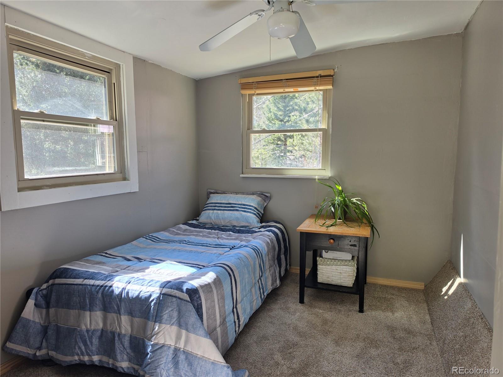 10116 Sprucedale Drive Conifer CO 80433