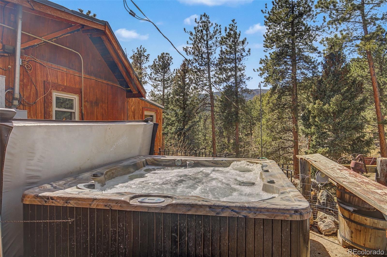 10116 Sprucedale Drive Conifer CO 80433