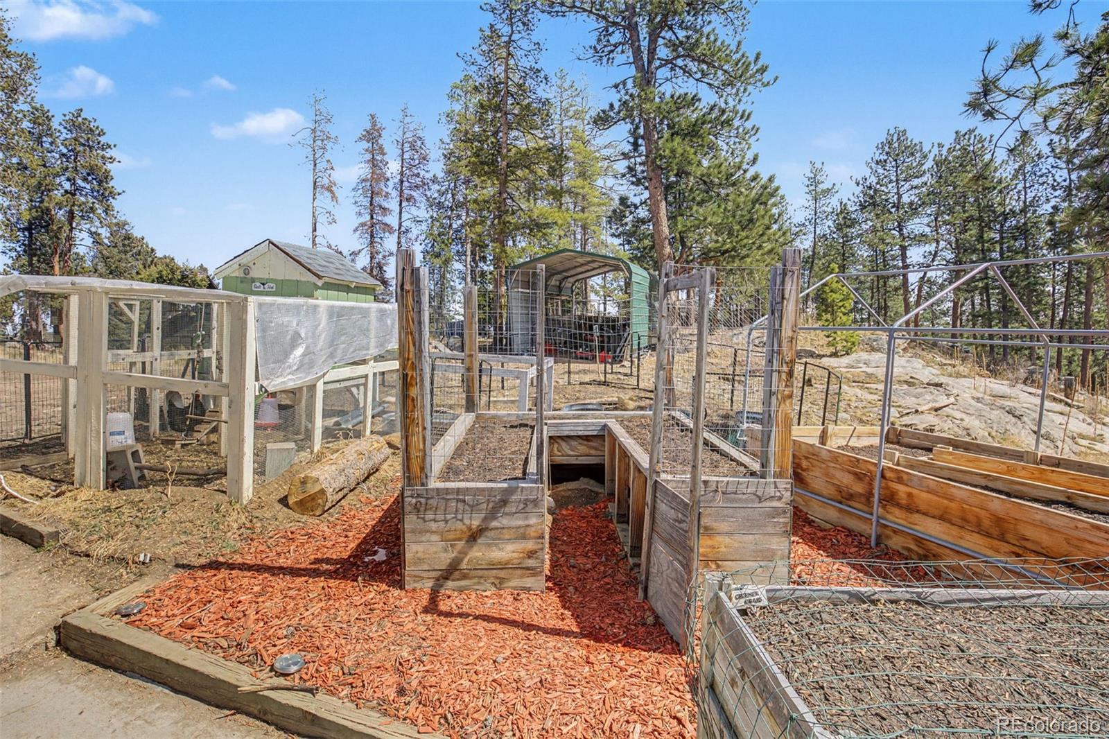 10116 Sprucedale Drive Conifer CO 80433