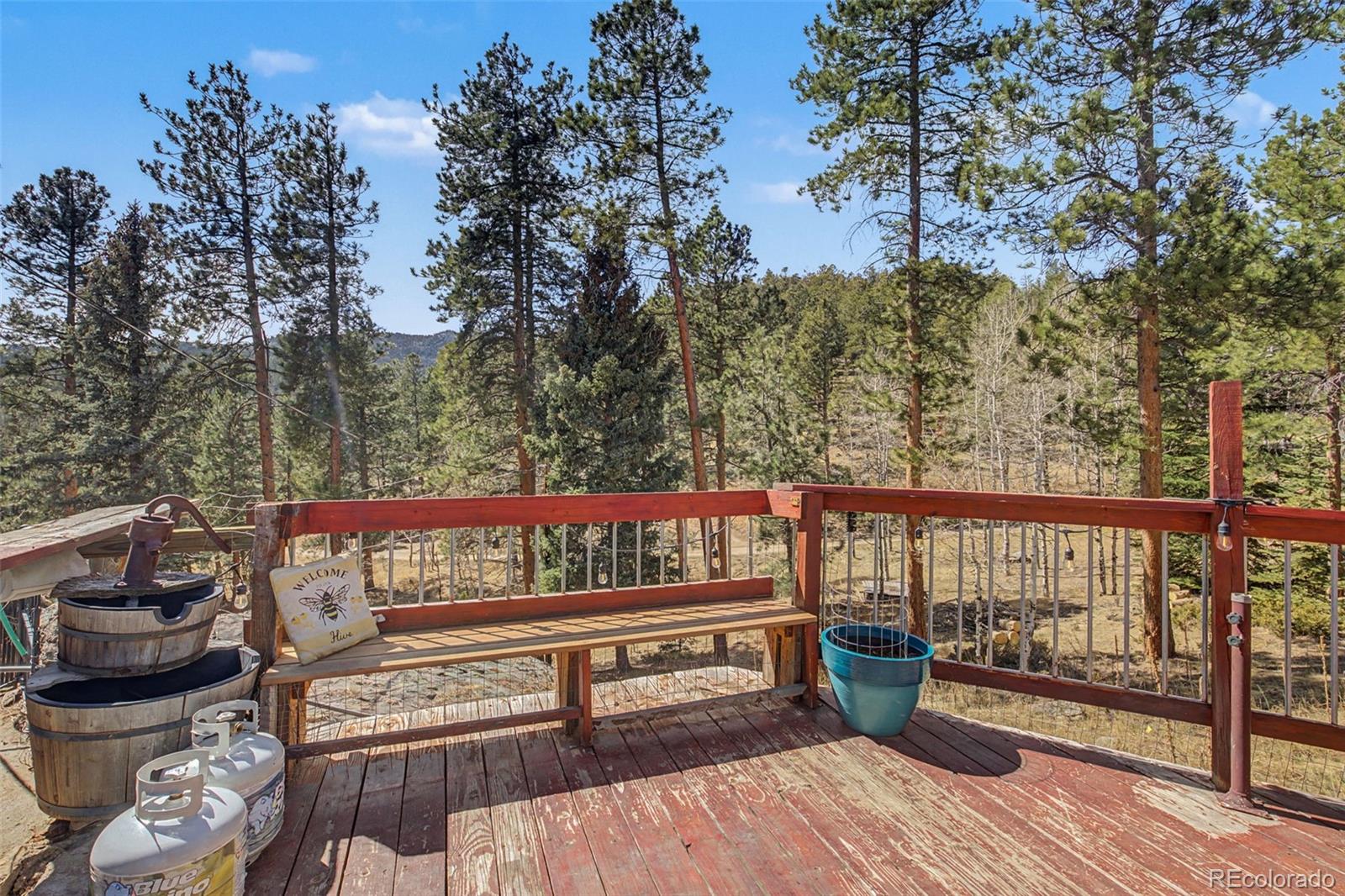 10116 Sprucedale Drive Conifer CO 80433