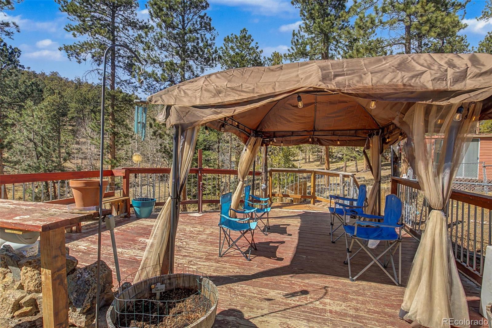 10116 Sprucedale Drive Conifer CO 80433