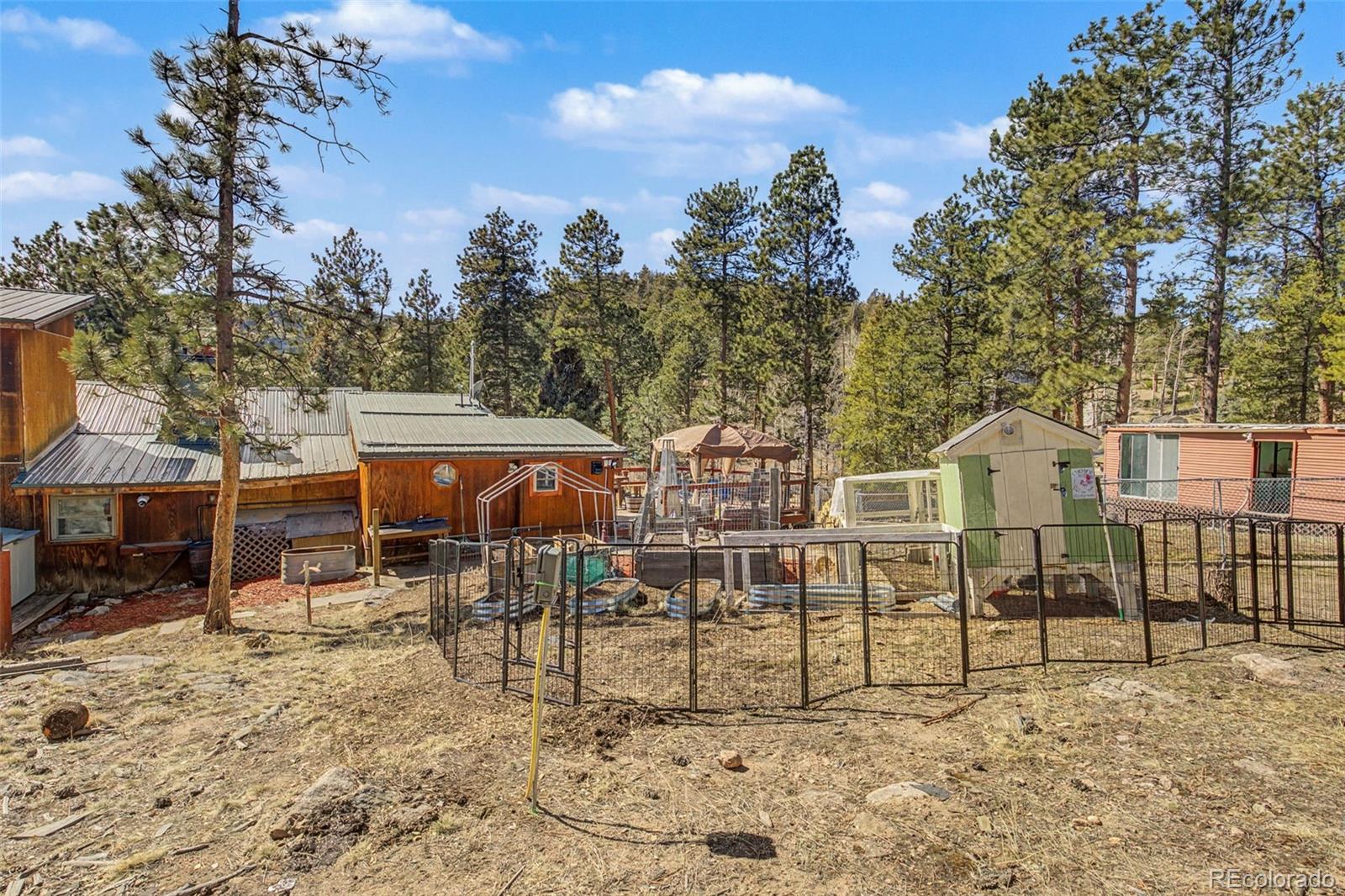 10116 Sprucedale Drive Conifer CO 80433