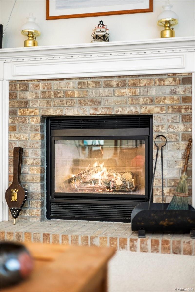 1011 Laurenwood Lane Highlands Ranch CO 80129
