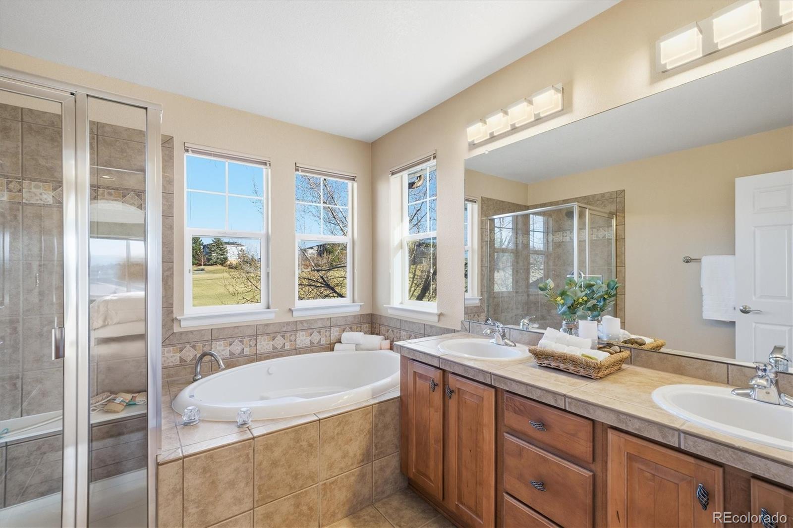 10524 Applebrook Circle Highlands Ranch CO 80130