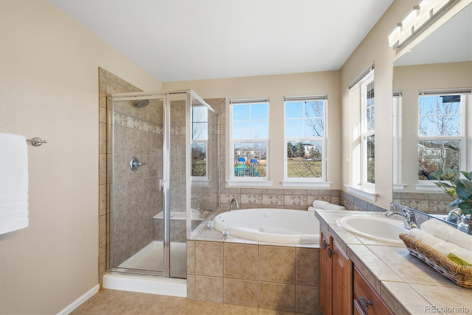 10524 Applebrook Circle Highlands Ranch CO 80130