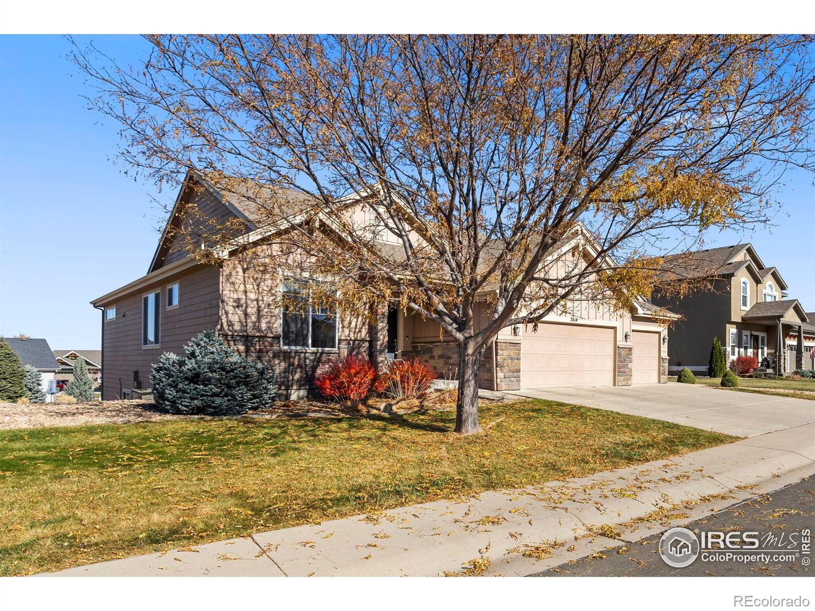 7414 Ladbroke Drive Windsor CO 80550