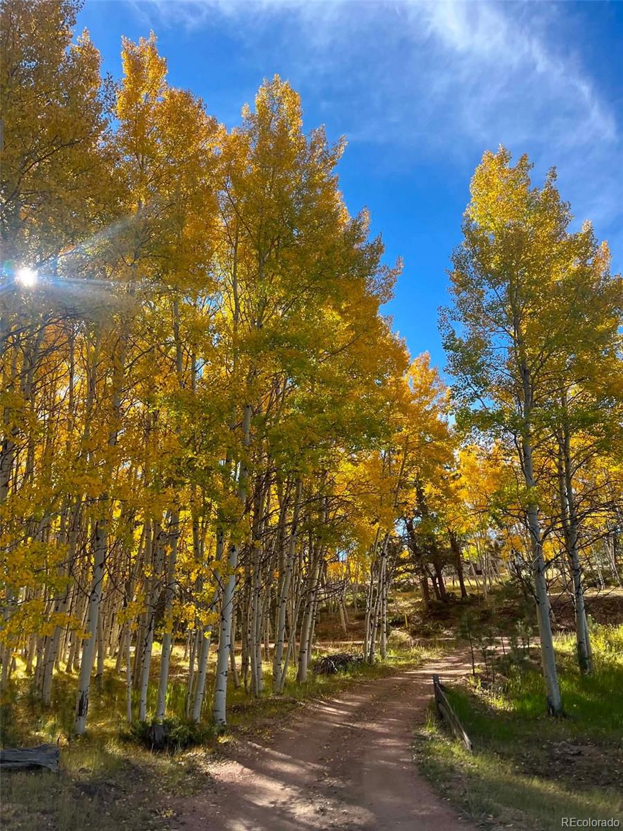 82 S Mountain Estates Road Florissant CO 80816