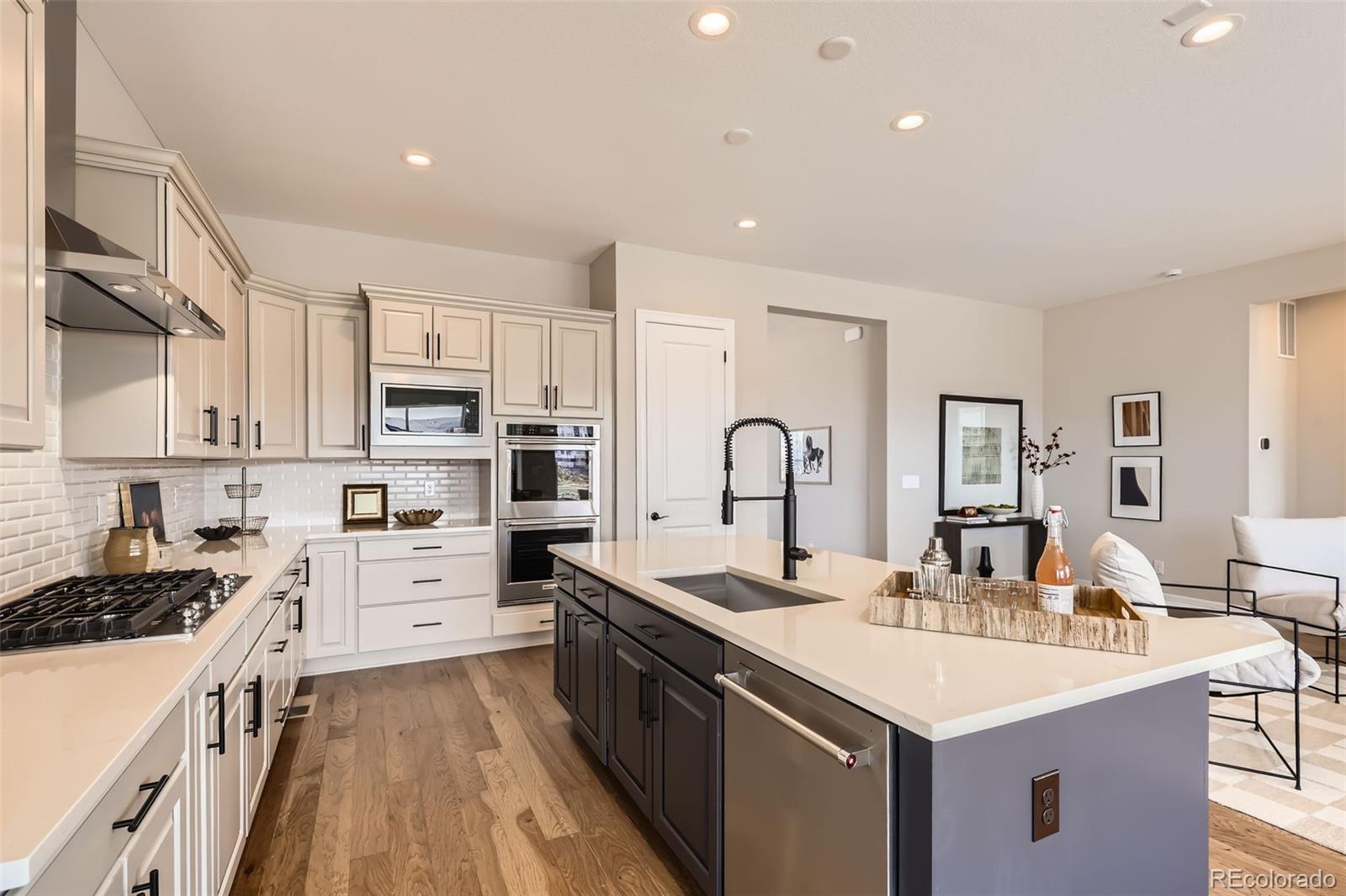 423 Basin Daisy Street Castle Rock CO 80104