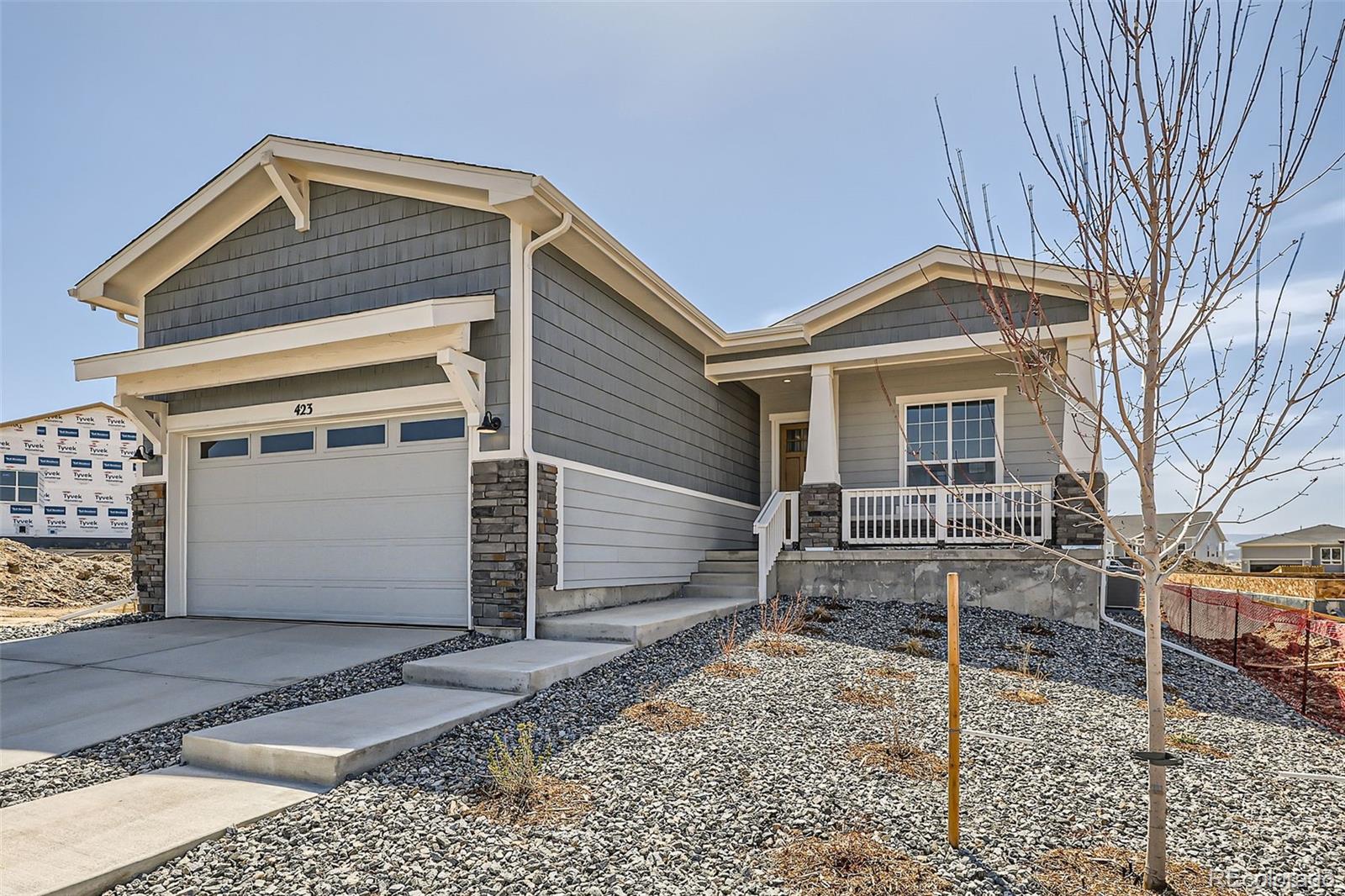 423 Basin Daisy Street Castle Rock CO 80104