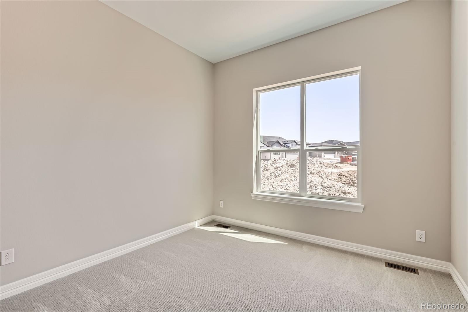 423 Basin Daisy Street Castle Rock CO 80104