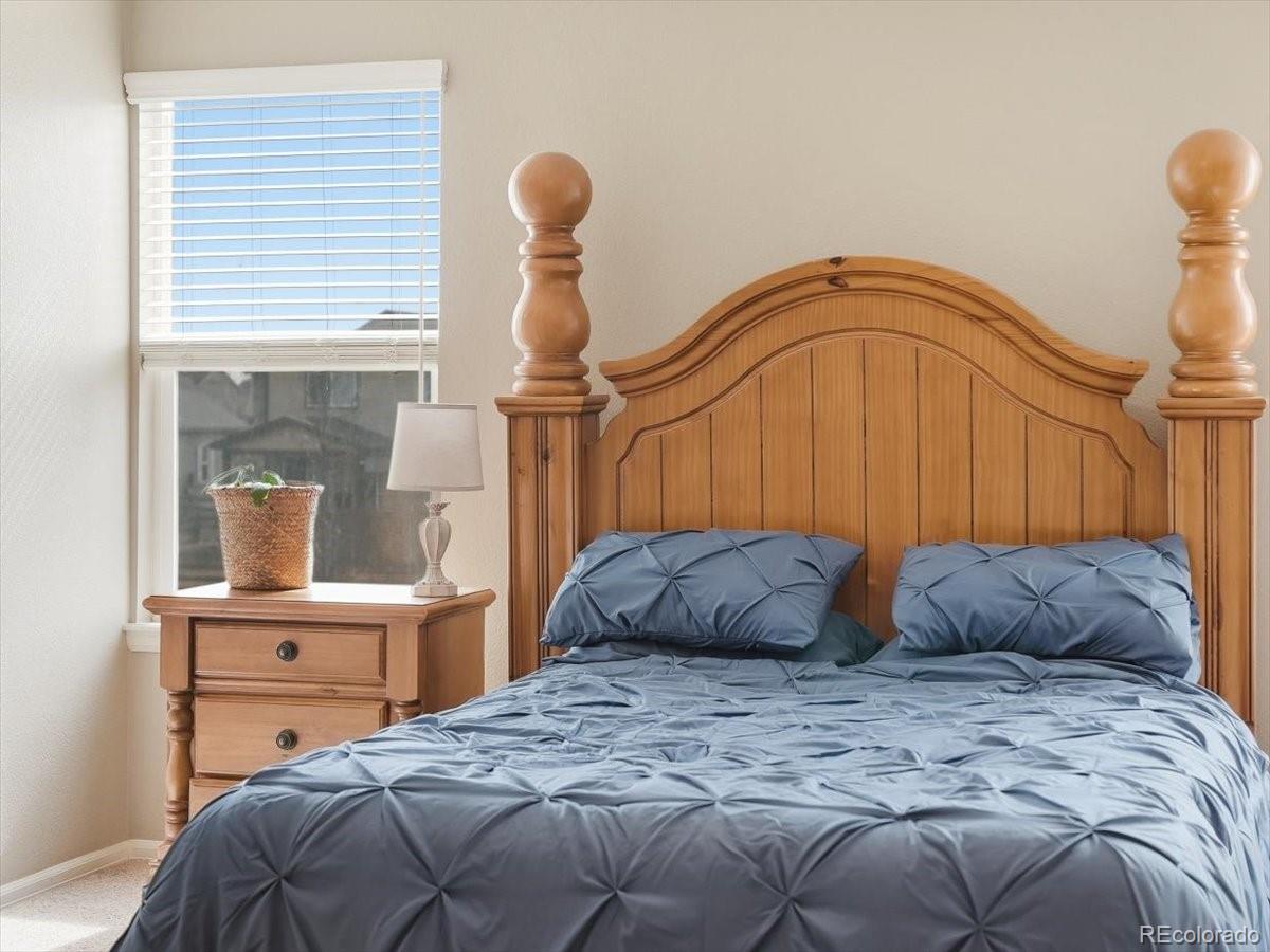1557 Edenbridge Drive Windsor CO 80550