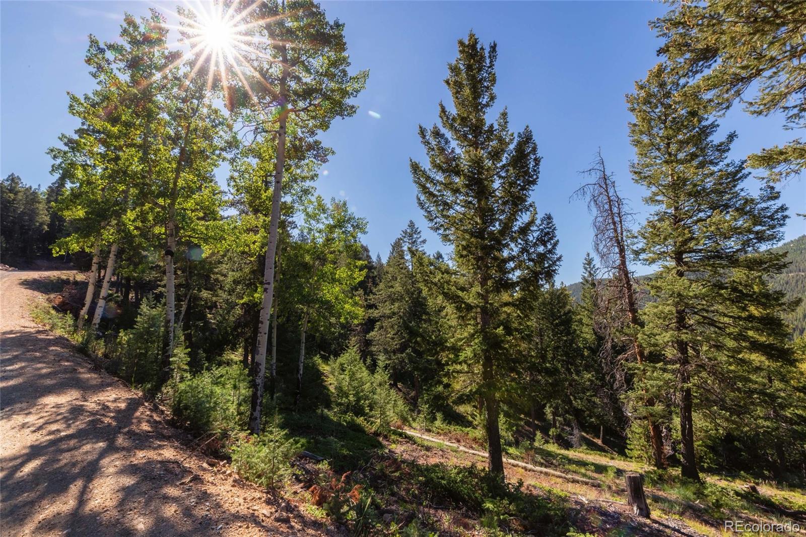 31334 Forest Shadow Trail Conifer CO 80433