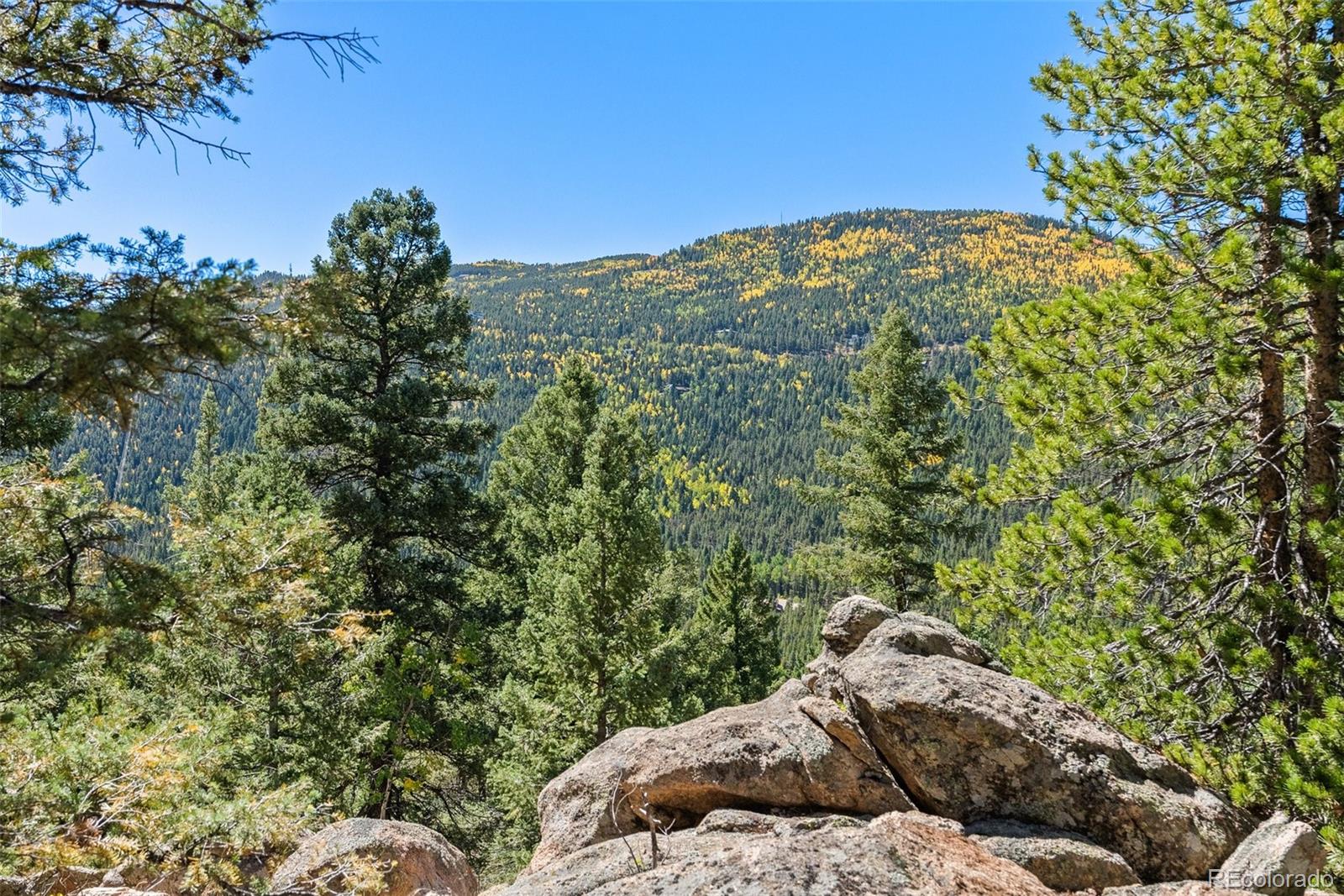 31334 Forest Shadow Trail Conifer CO 80433