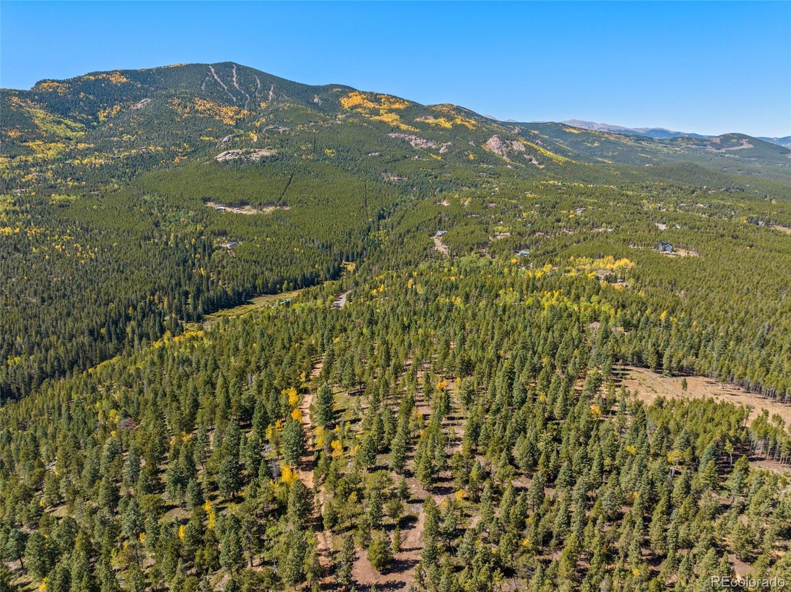 31334 Forest Shadow Trail Conifer CO 80433