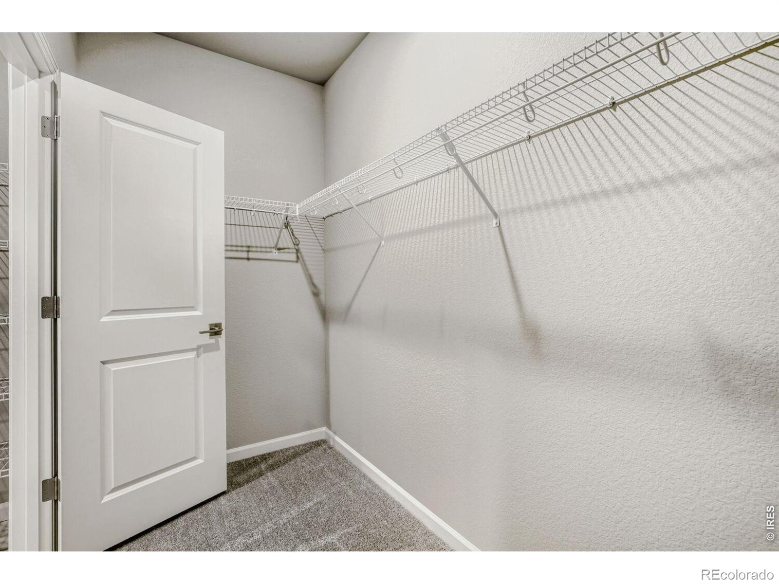 648 Noola Street Windsor CO 80550