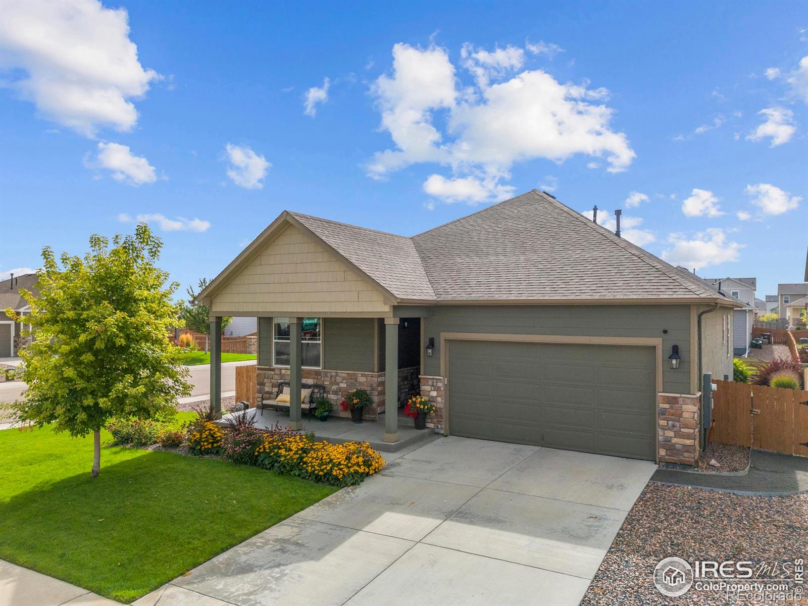 939 Keneally Court Windsor CO 80550