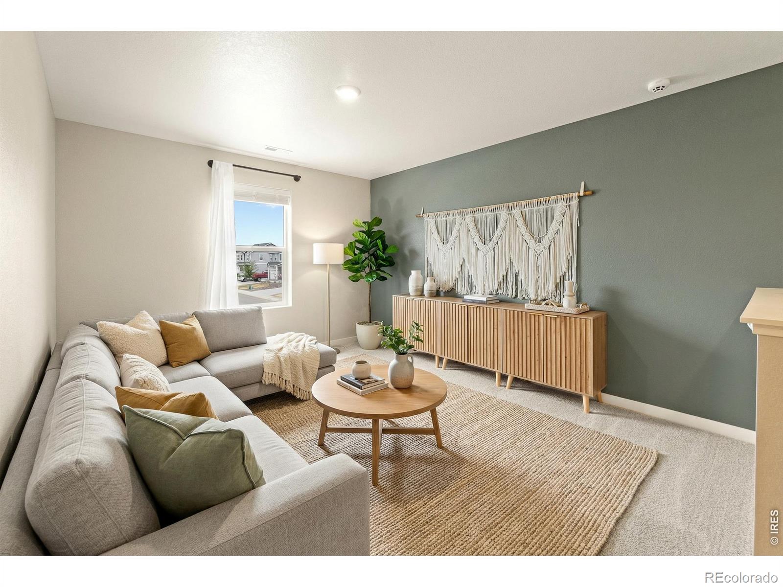 6427 Coralbell Street Wellington CO 80549