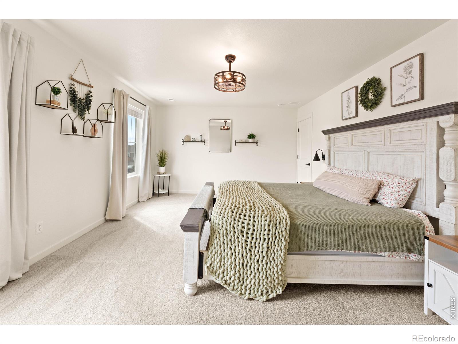6427 Coralbell Street Wellington CO 80549