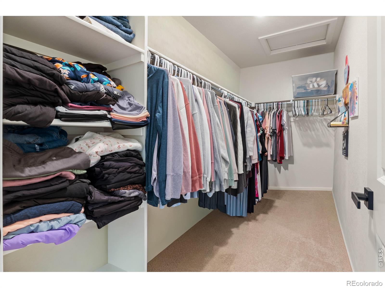 6427 Coralbell Street Wellington CO 80549