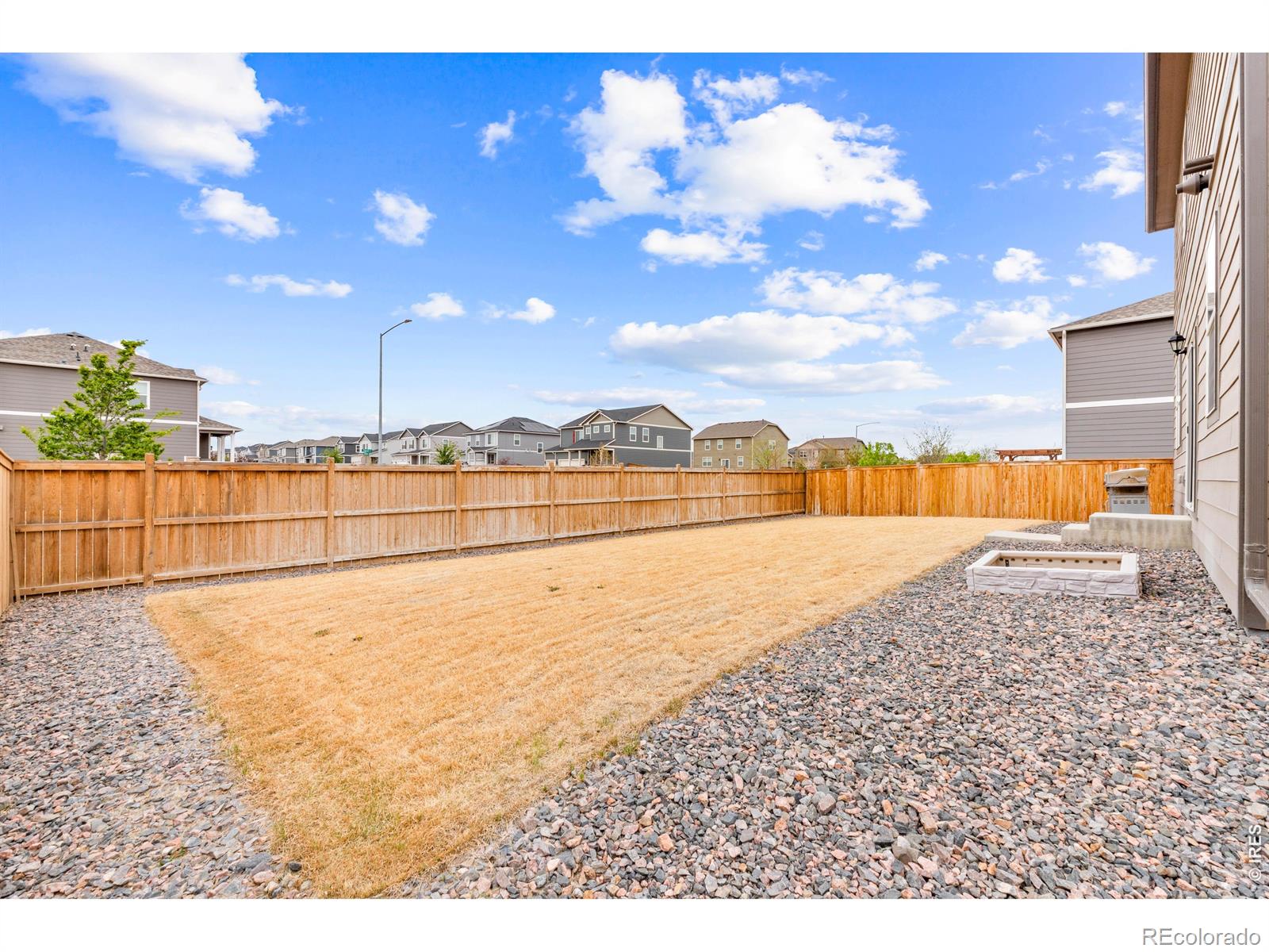 6427 Coralbell Street Wellington CO 80549