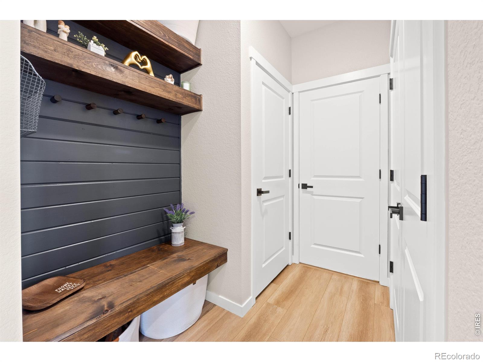 6427 Coralbell Street Wellington CO 80549