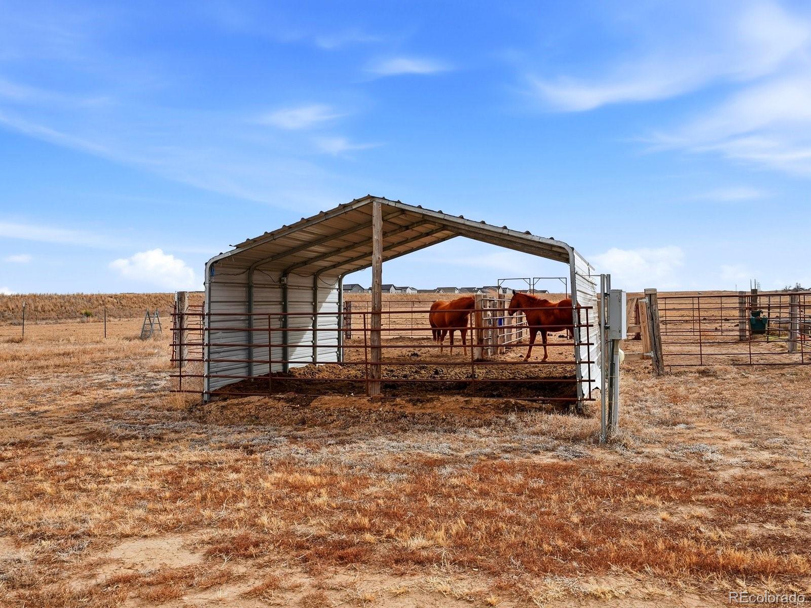 3374 County Road P Wiggins CO 80654
