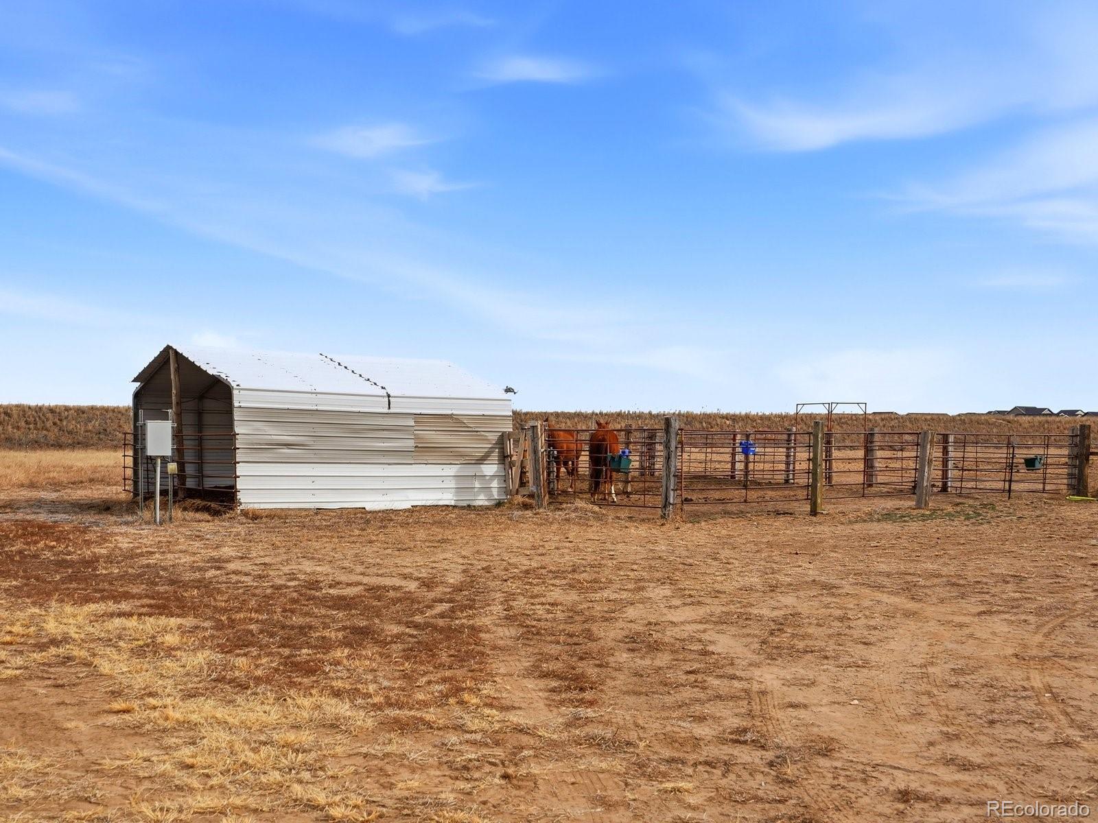 3374 County Road P Wiggins CO 80654