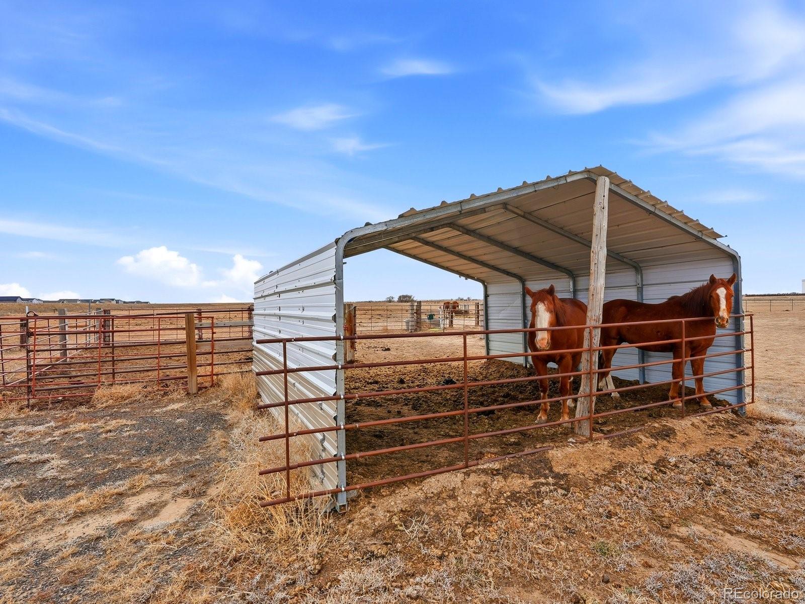 3374 County Road P Wiggins CO 80654