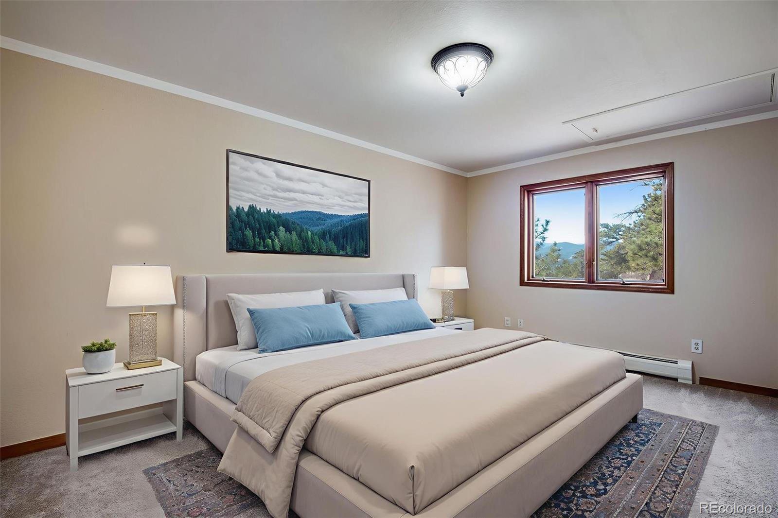 14803 Wandcrest Drive Pine CO 80470
