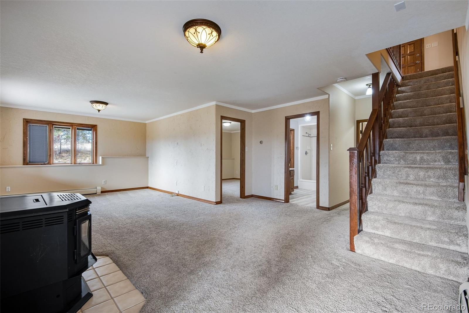 14803 Wandcrest Drive Pine CO 80470
