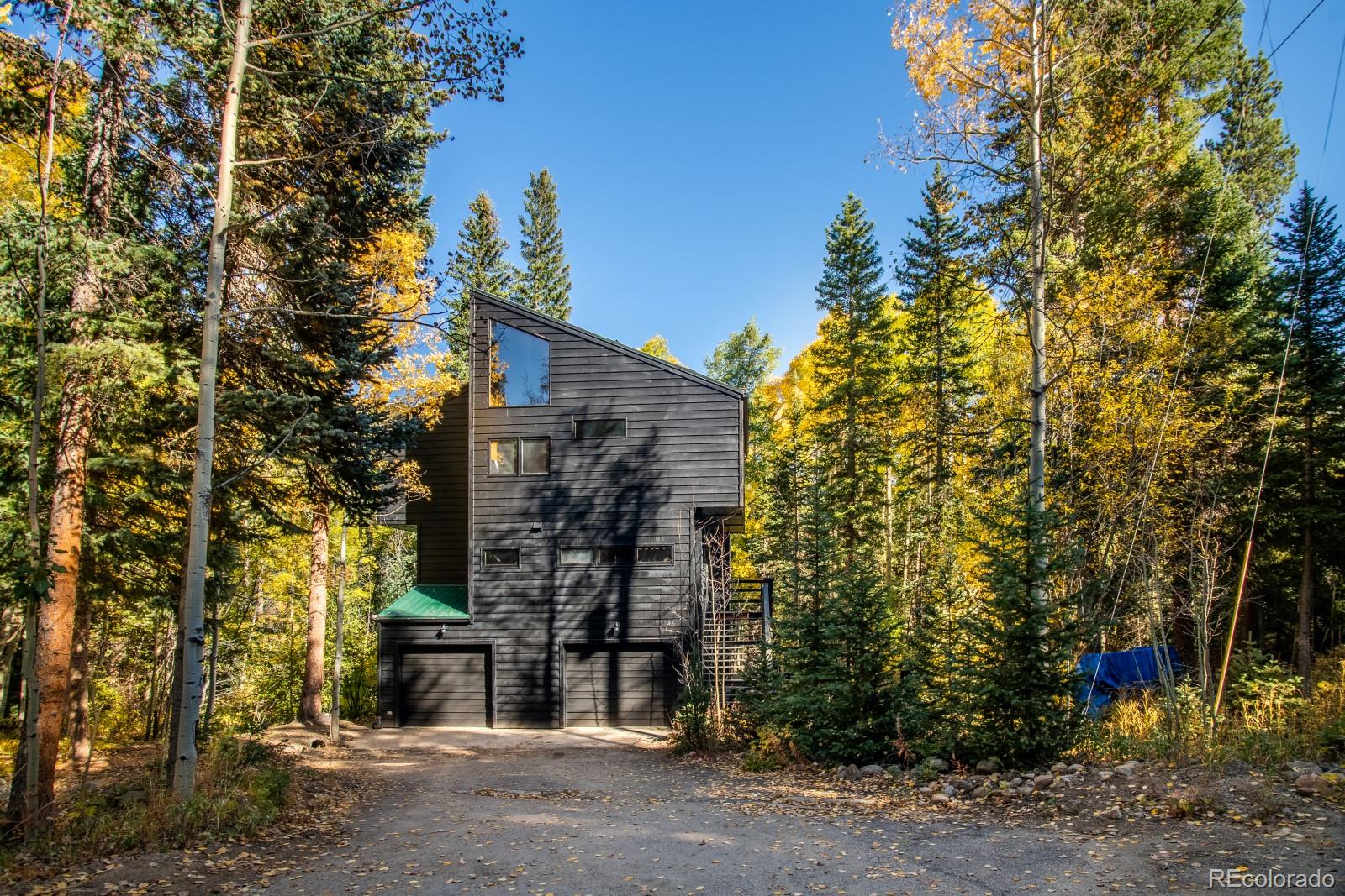 48 Moss Lane Dumont CO 80436