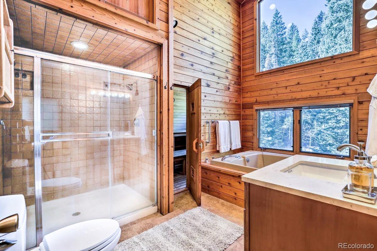 48 Moss Lane Dumont CO 80436