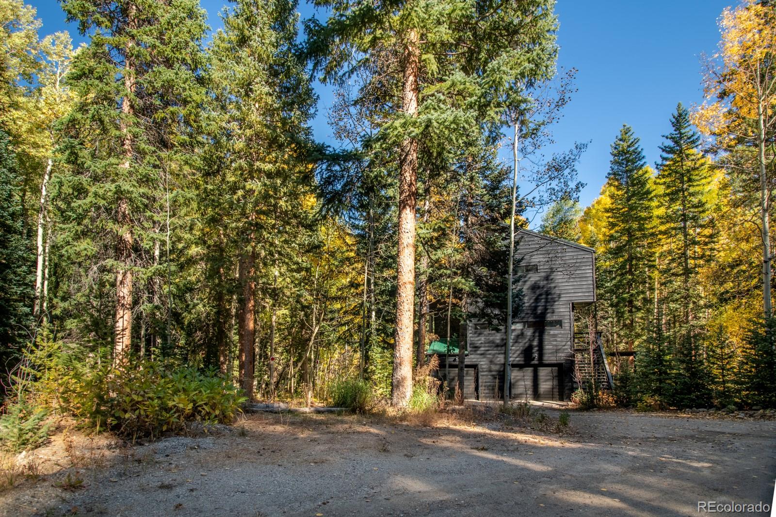 48 Moss Lane Dumont CO 80436