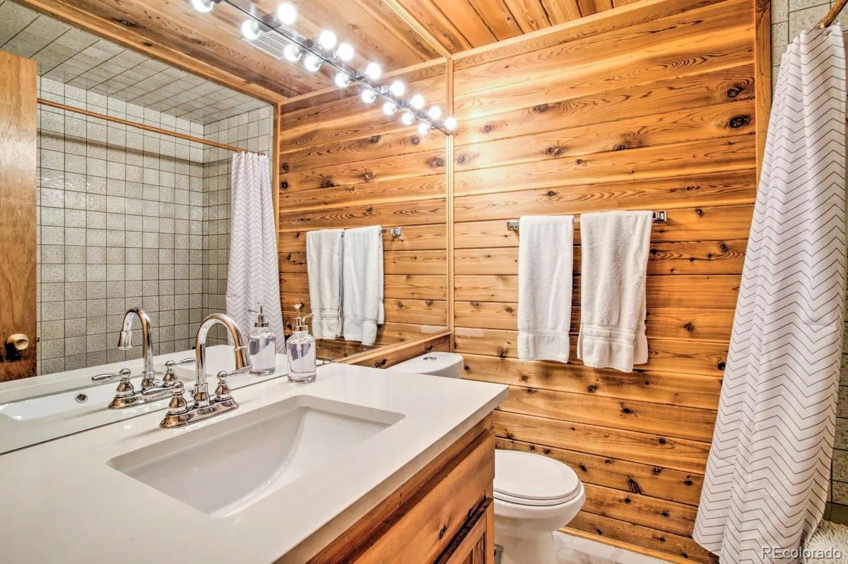 48 Moss Lane Dumont CO 80436
