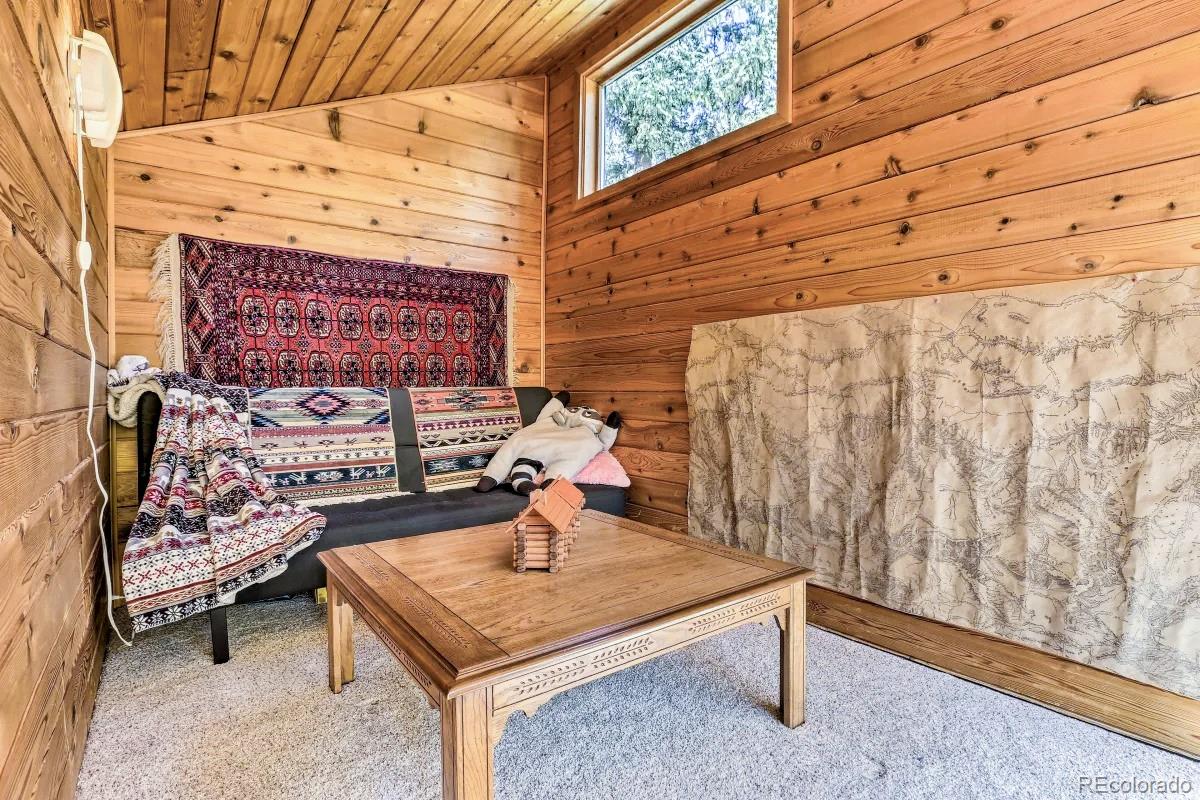 48 Moss Lane Dumont CO 80436