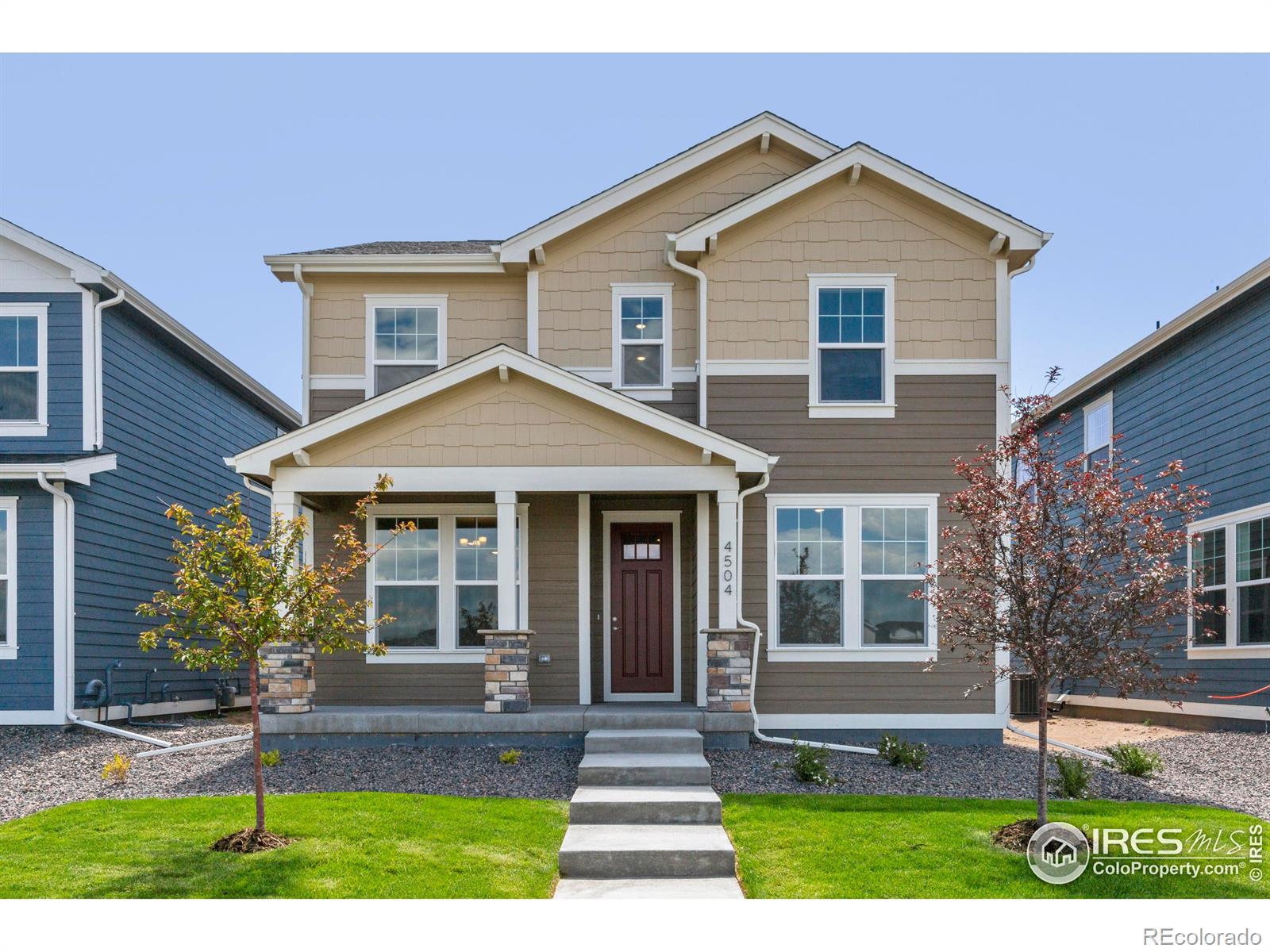 4504 Burl Street Timnath CO 80547