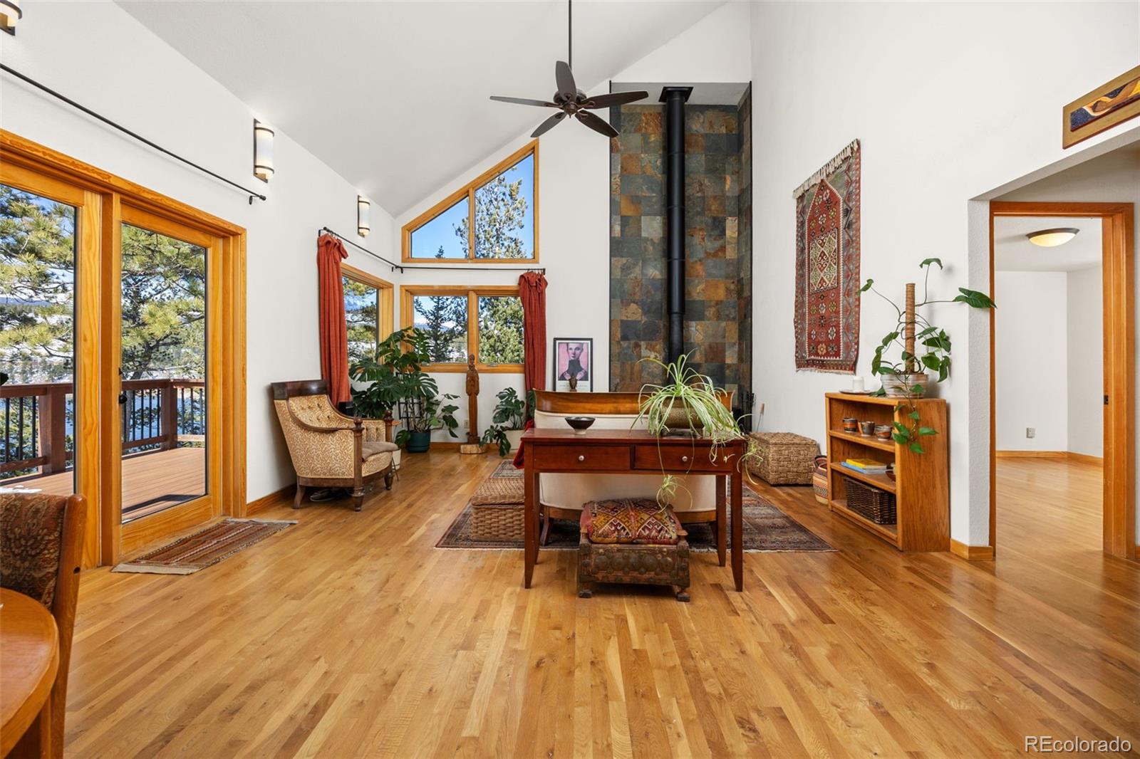 253 Alpine Drive Nederland CO 80466