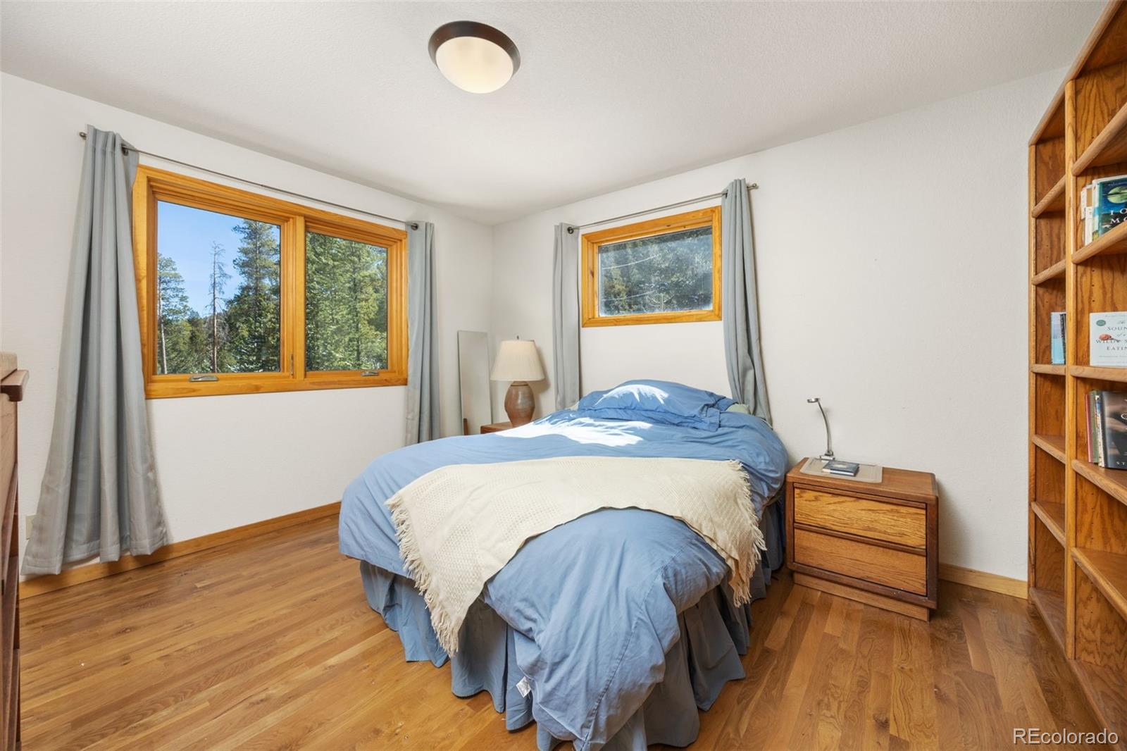 253 Alpine Drive Nederland CO 80466