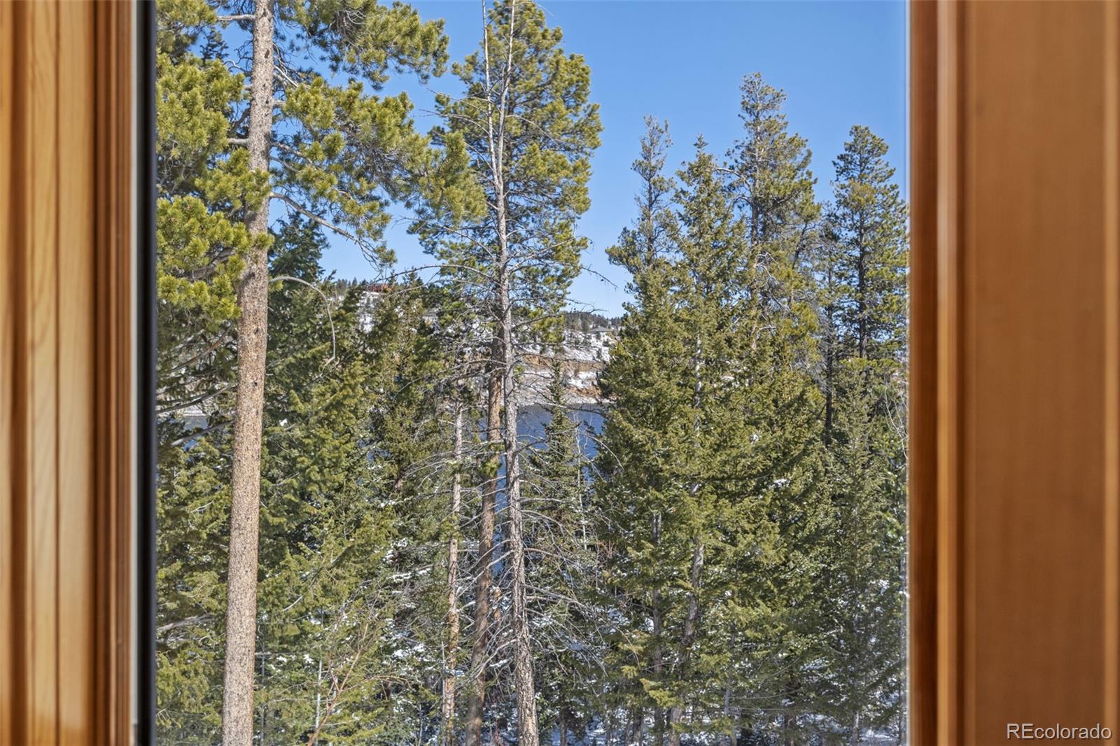 253 Alpine Drive Nederland CO 80466