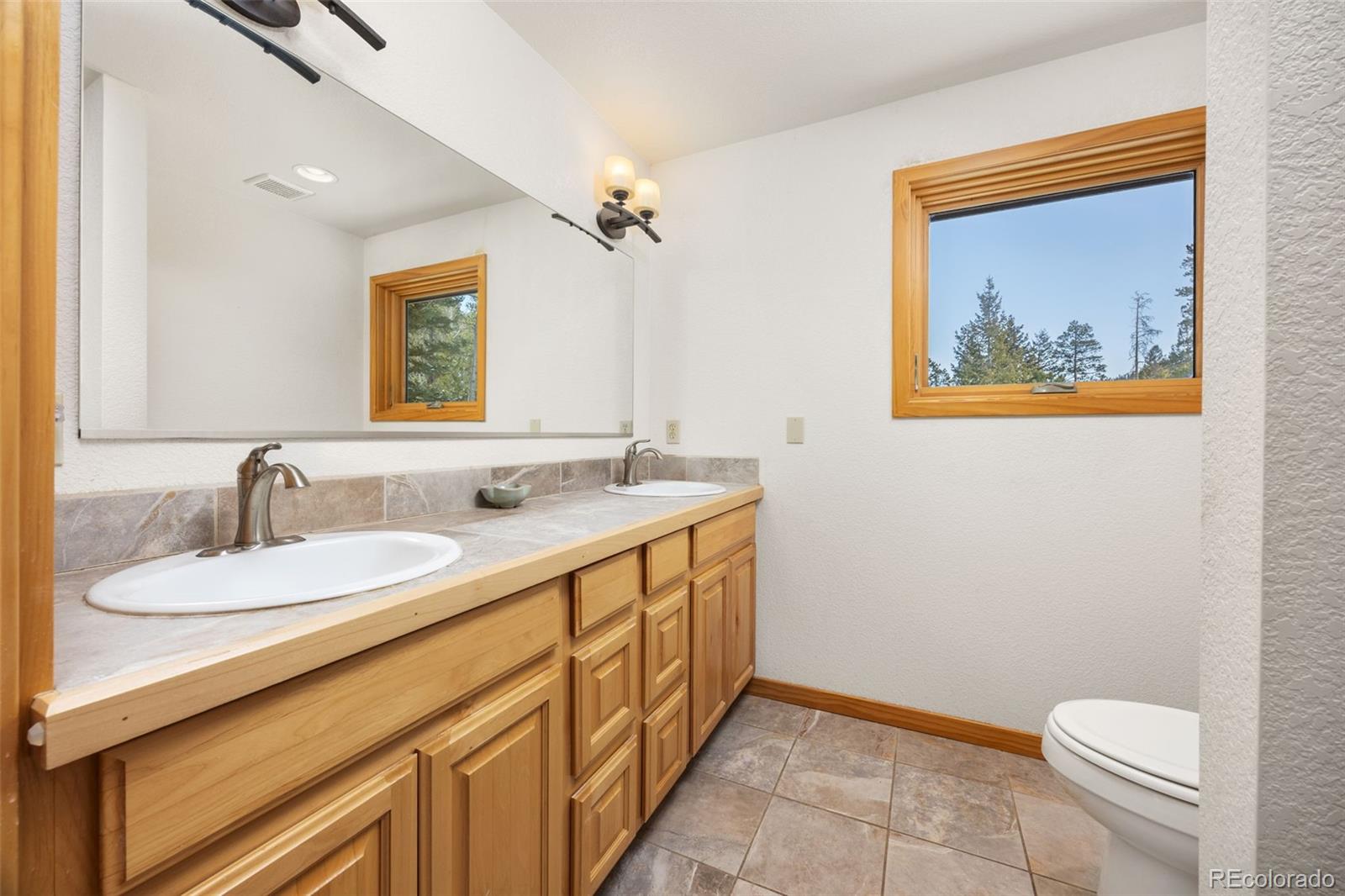 253 Alpine Drive Nederland CO 80466