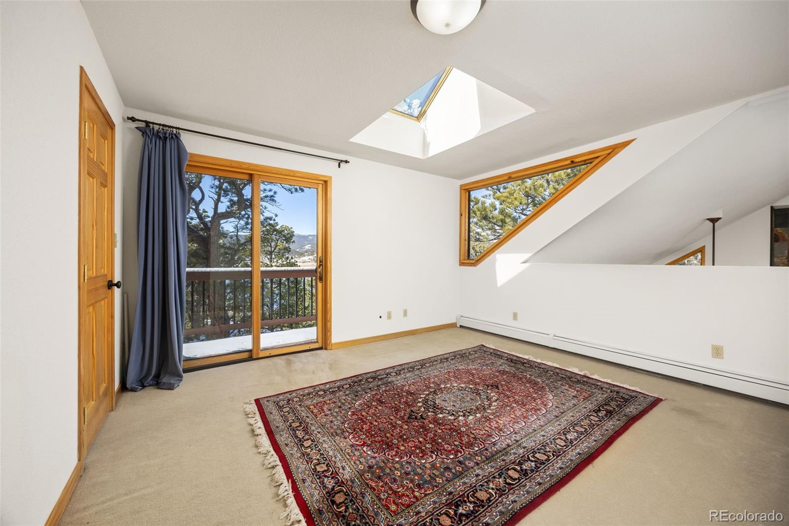 253 Alpine Drive Nederland CO 80466