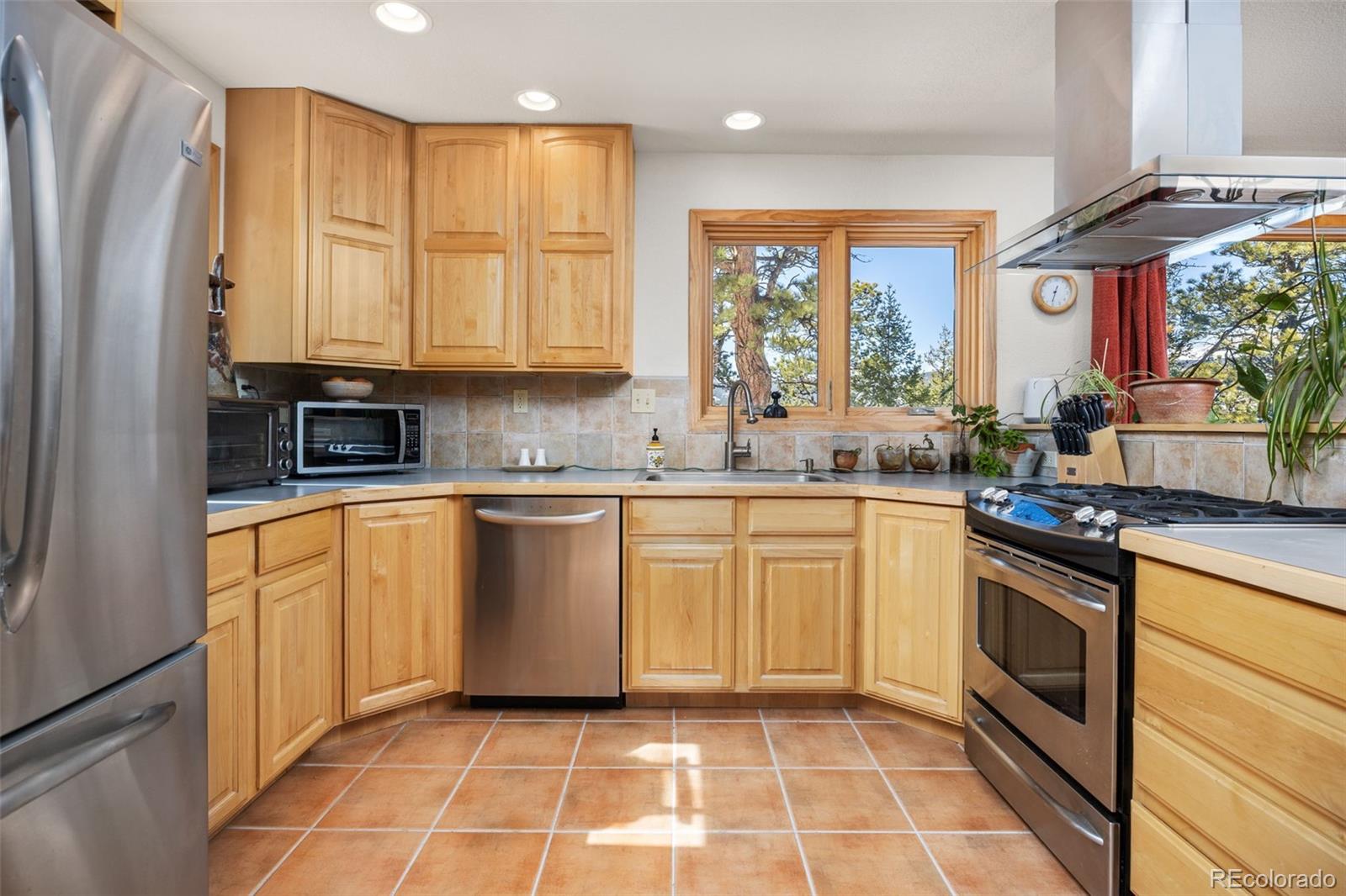 253 Alpine Drive Nederland CO 80466