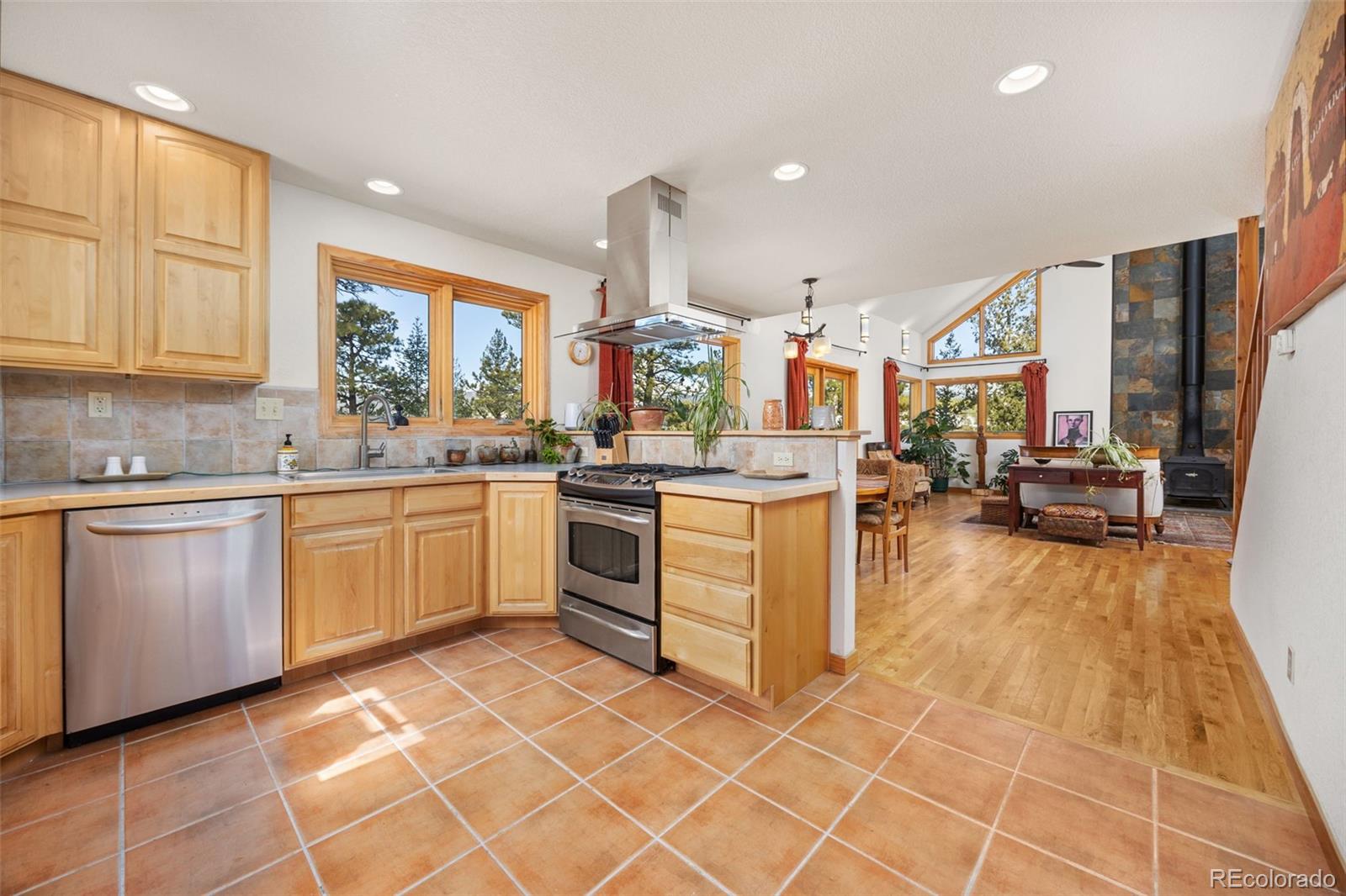 253 Alpine Drive Nederland CO 80466