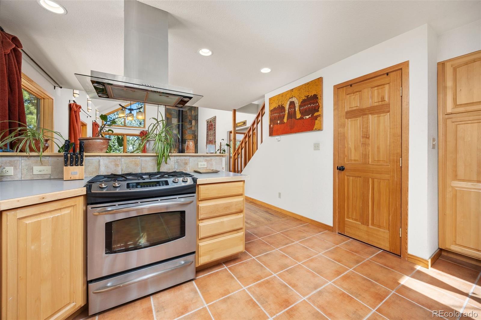 253 Alpine Drive Nederland CO 80466