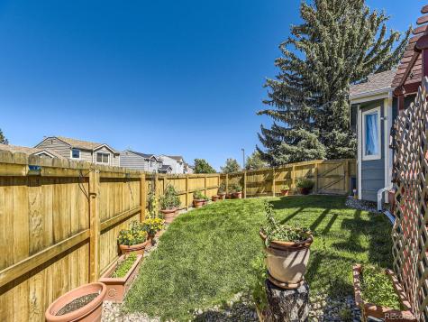 155 N Bedford Avenue Castle Rock CO 80104