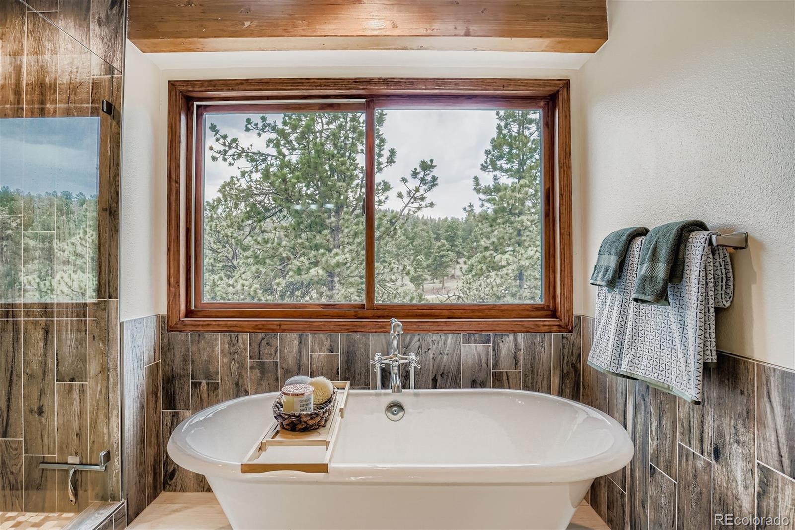 13342 Douglass Ranch Drive Pine CO 80470