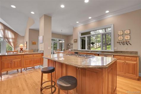 29433 Firethorne Court Evergreen CO 80439