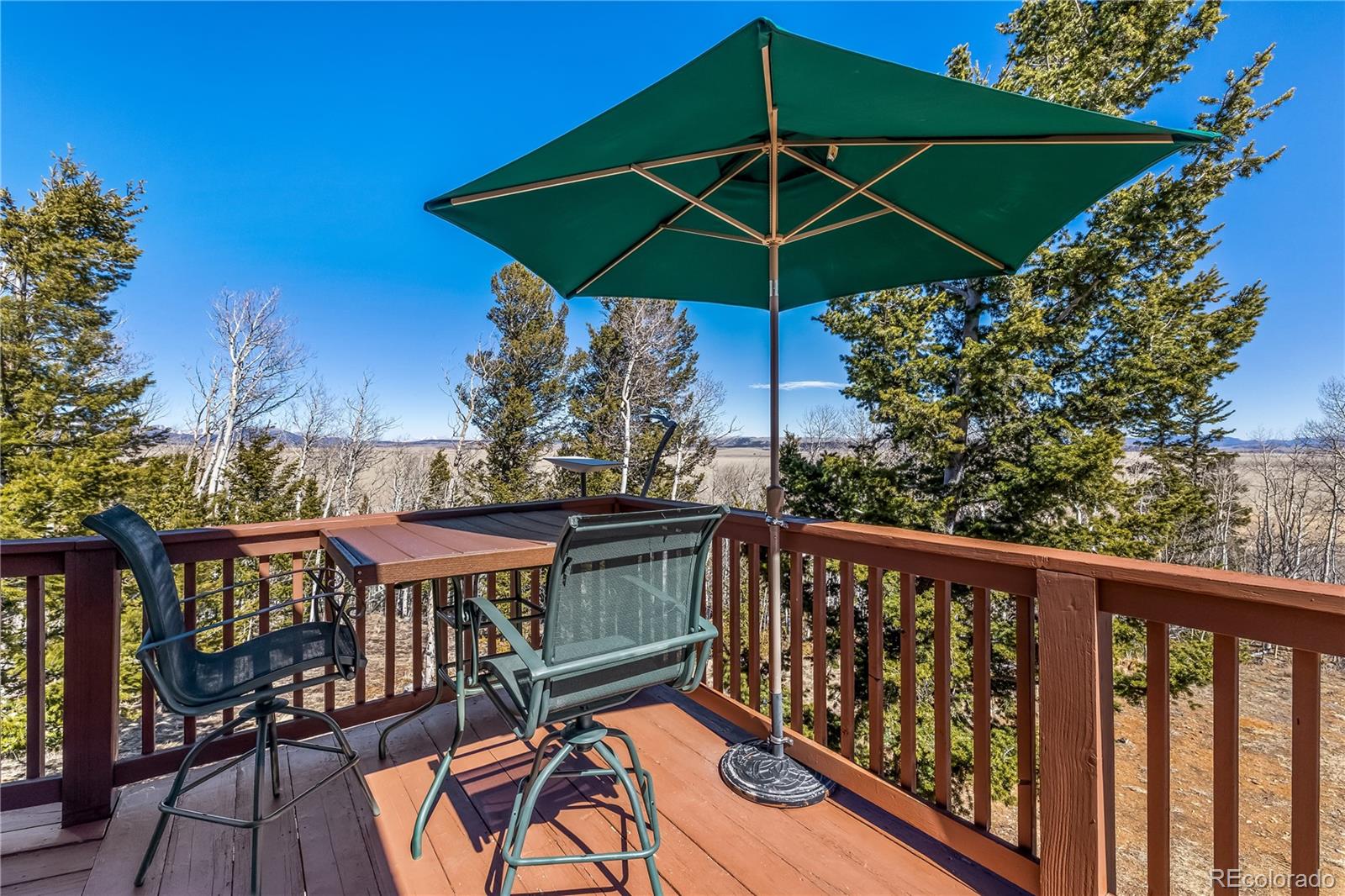 1059 Sheep Ridge Road Fairplay CO 80440