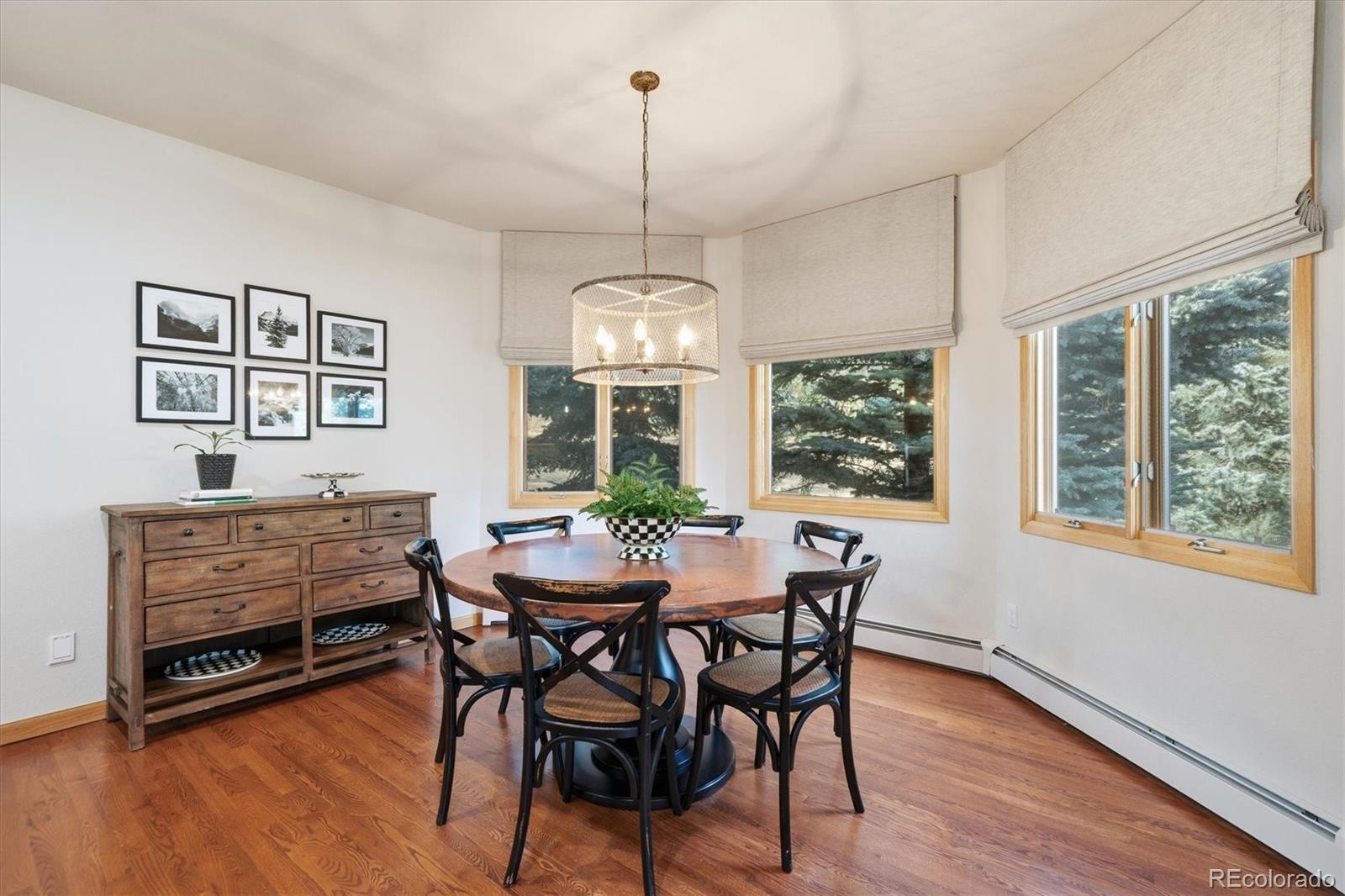 1513 Belford Court Evergreen CO 80439