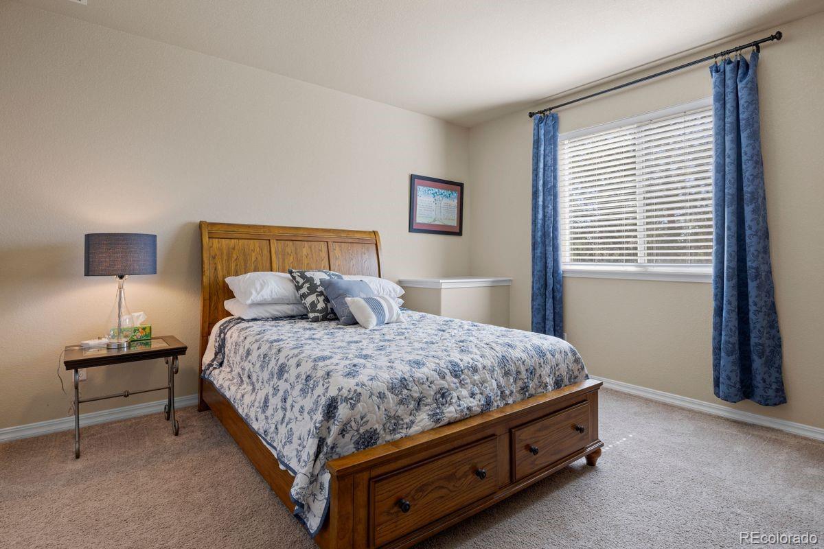 17311 Leisure Lake Drive Monument CO 80132